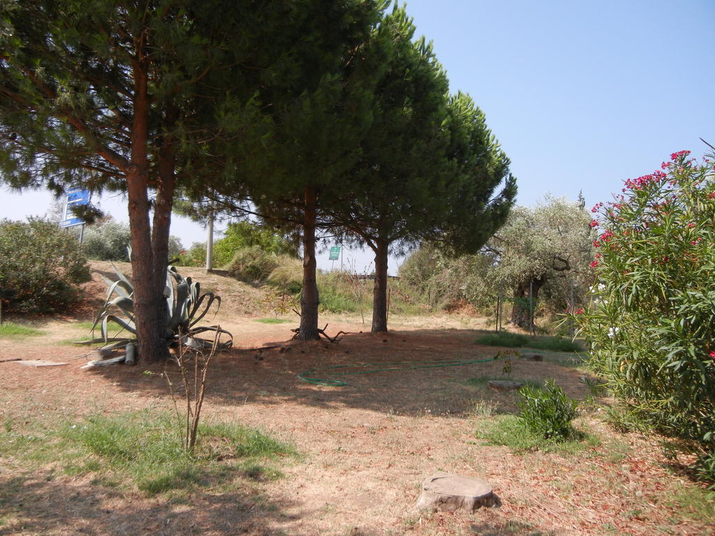 Pension Lakis Prinos (Thasos) Exterior photo