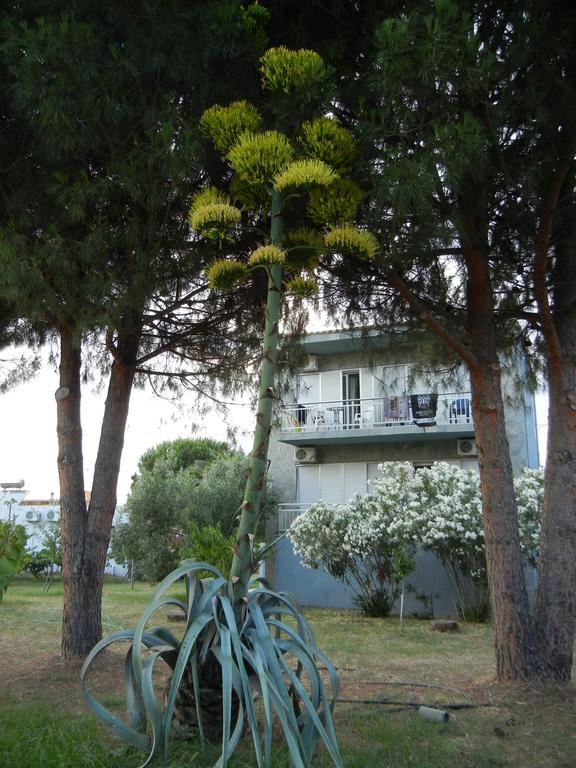Pension Lakis Prinos (Thasos) Exterior photo