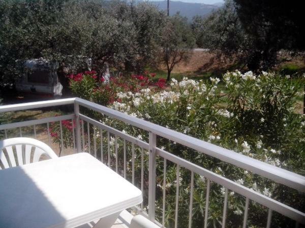 Pension Lakis Prinos (Thasos) Exterior photo